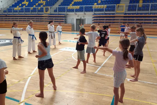 karateisti-soltec-brezice-na-poletnem-taboru-04DB1BF8F9-9DAB-0384-51D4-D739A9F23450.webp