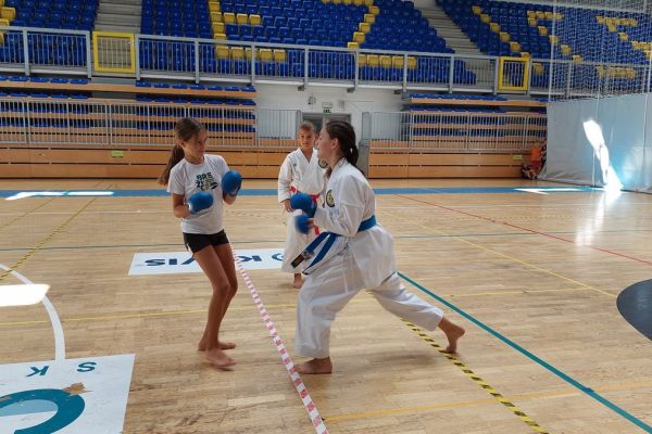 karate-klubbrezice-tabor-15791376E5-D873-9213-4F78-C77403BD97AB.jpg