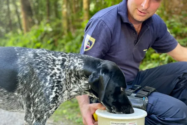 policija-svetuje-zivali-381FD58EC-699A-6B8C-F4F3-FA44534F0849.webp