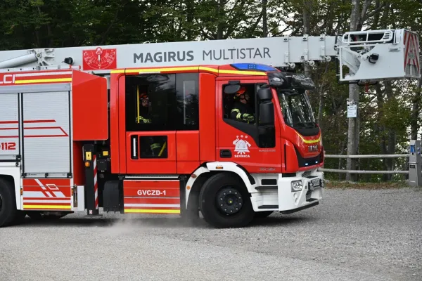 resevalna-vaja-lisca-121E67A0BD-838D-19B7-2316-EFD07780032D.webp